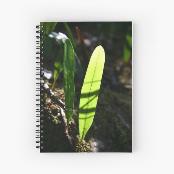 Strap fern Spiral Notebook