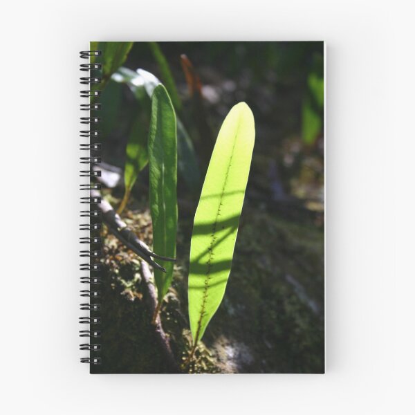 Item preview, Strap fern designed and sold by Ron C. Moss.