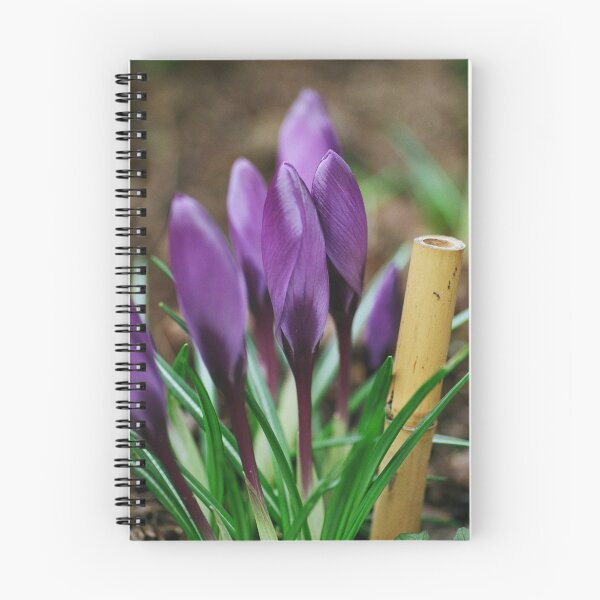 Item preview, Crocus and Bamboo designed and sold by lizalady.