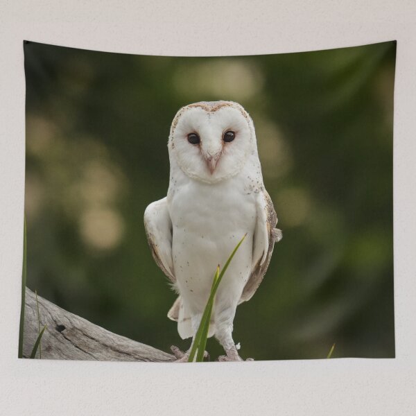 Item preview, White Owl designed and sold by Apatche Revealed.