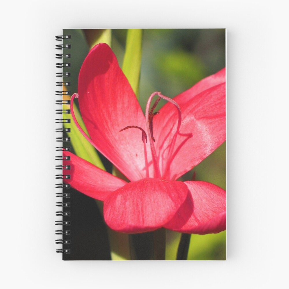 Item preview, Spiral Notebook designed and sold by jacqi.