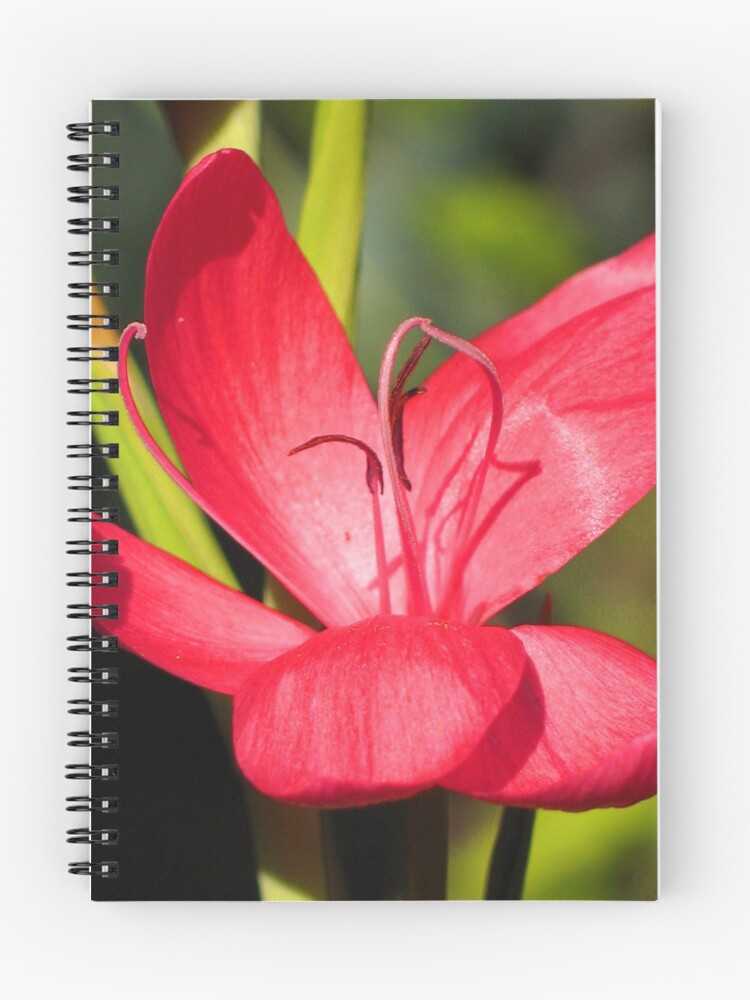 Thumbnail 1 of 3, Journal, Intense designed and sold by jacqi.