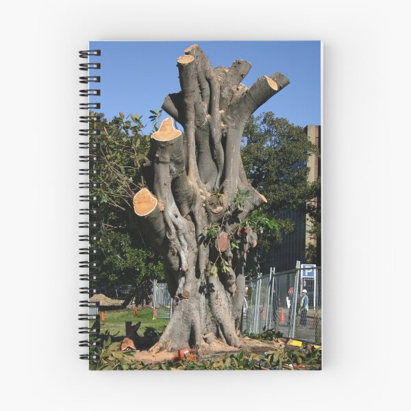 Item preview, On Death Row: Moreton Bay Figs Face the Axe designed and sold by Erland Howden.