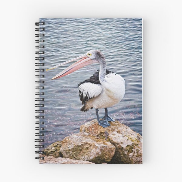 Artikelvorschau, Portrait of a Pelican entworfen und verkauft von AllshotsImaging.