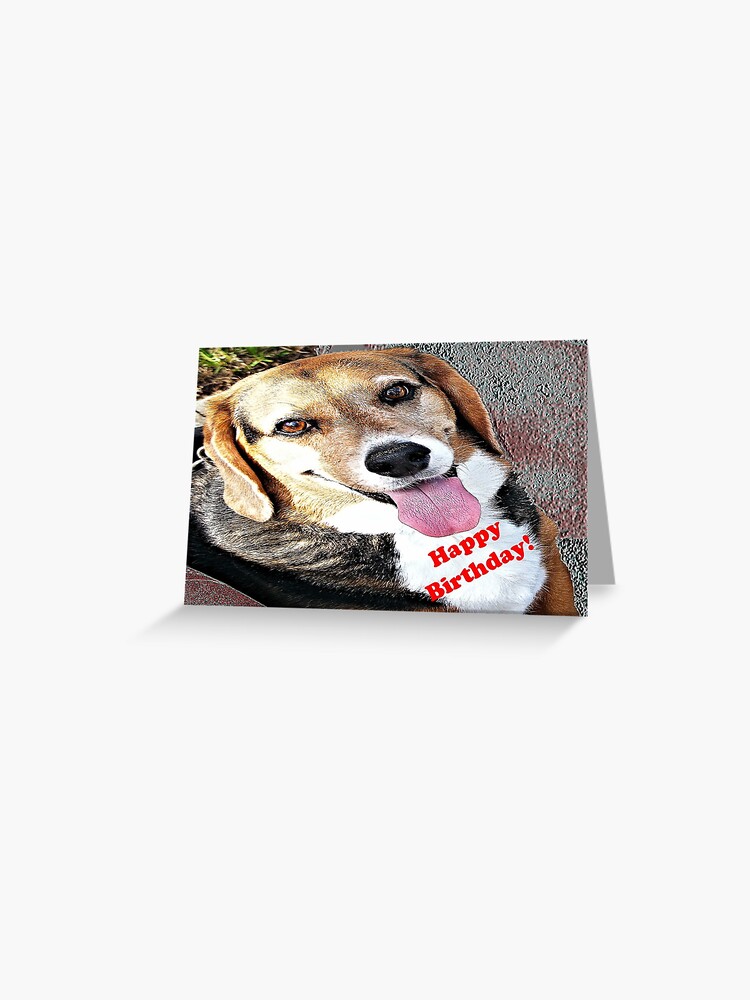 Carte De Vœux Joyeux Anniversaire Chien Chien Par Kristalcurt Redbubble