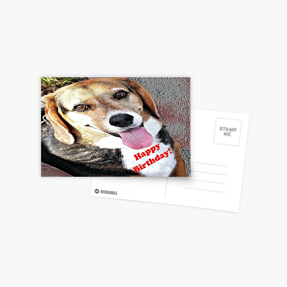 Carte De Vœux Joyeux Anniversaire Chien Chien Par Kristalcurt Redbubble