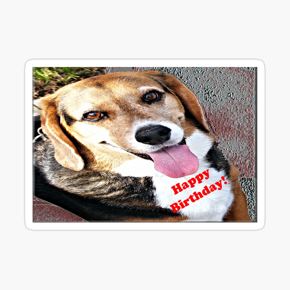 Carte De Vœux Joyeux Anniversaire Chien Chien Par Kristalcurt Redbubble