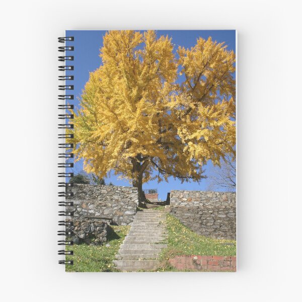 Item preview, The Ginkgo Tree designed and sold by Patricia Montgomery.