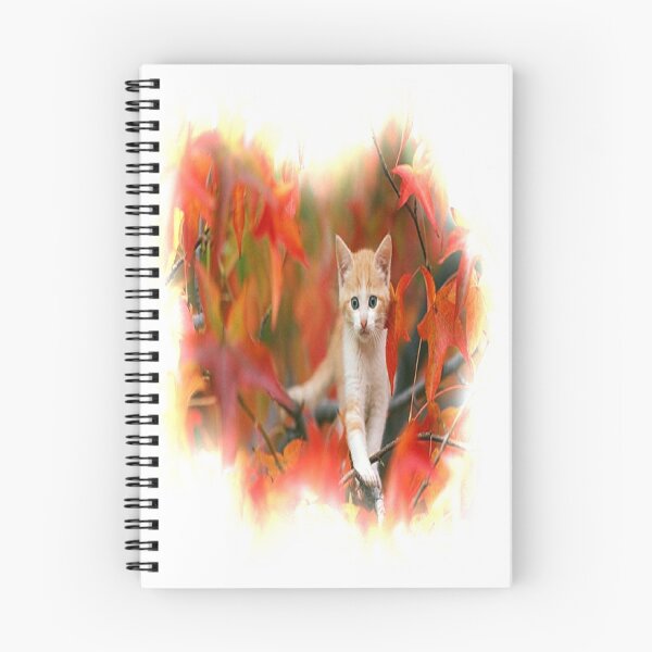 Artikelvorschau, Here Kitty Kitty  entworfen und verkauft von JulsDesigns.