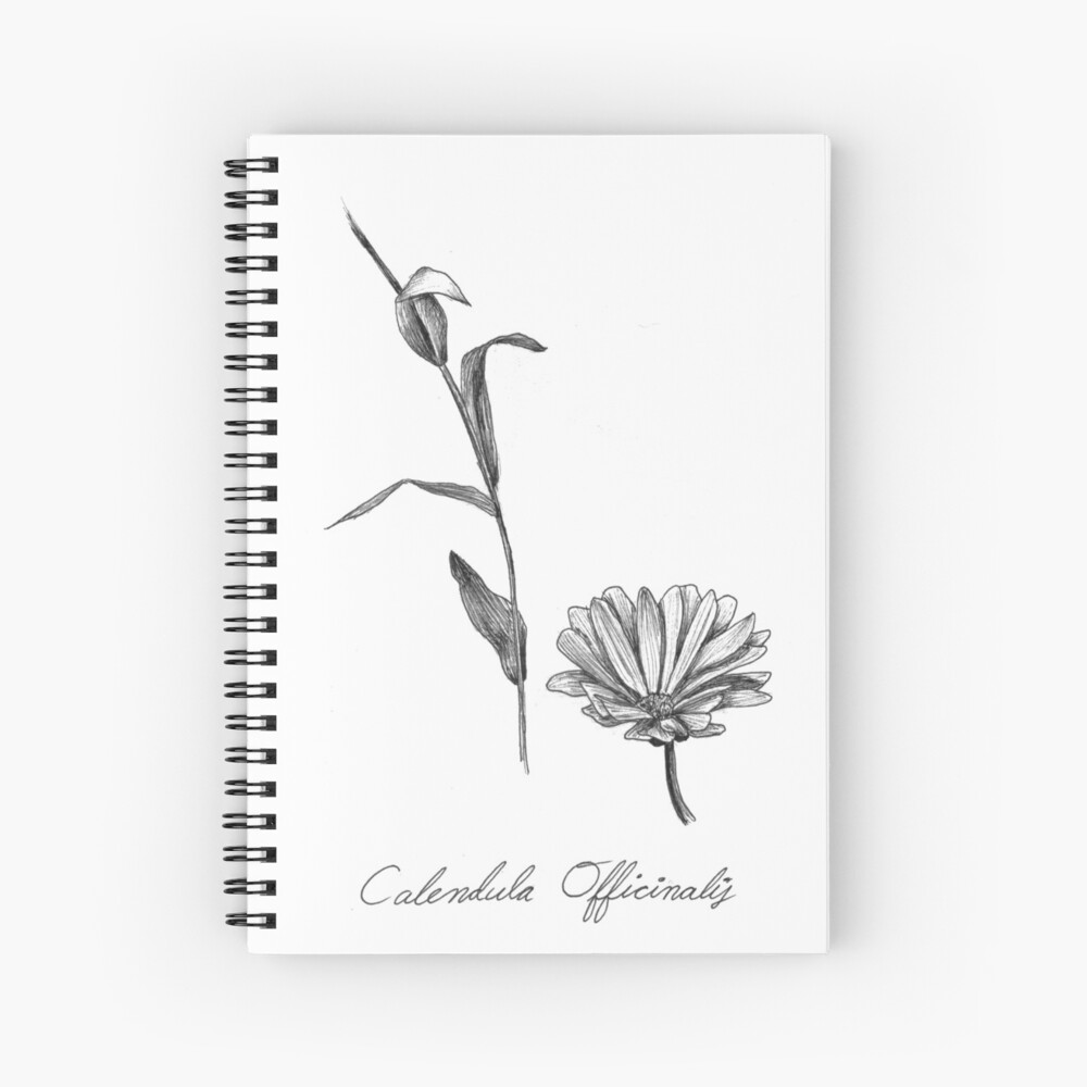 Buy Calendula SVG, October Birth Flower SVG. Birth Month Flower Calendula  Drawing. Birthday Flower Clipart Online in India - Etsy