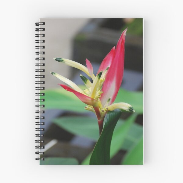 Item preview, Bird of Paradise #2 B.O.P designed and sold by treborbob.