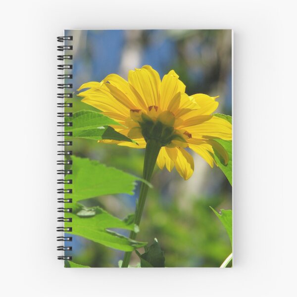 Item preview, Sunny Daisy designed and sold by NatureGreeting Cards ©ccwri.