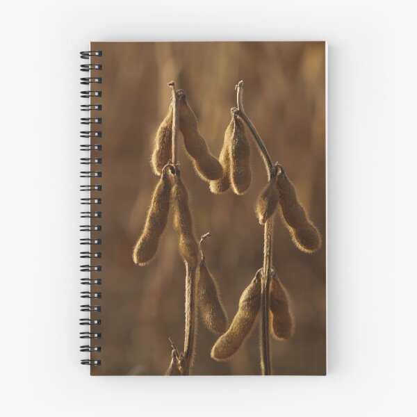 Item preview, Dried Soybeans in Autumn Dusk designed and sold by Anna Lisa Yoder.