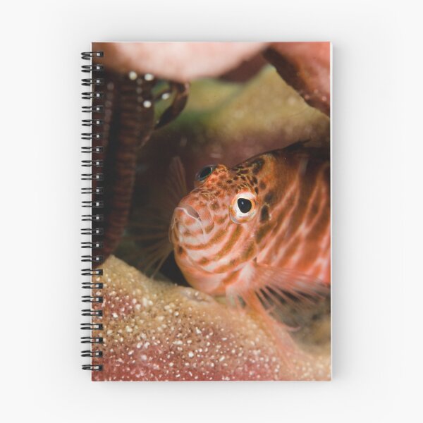 Item preview, Captivated designed and sold by muzy.