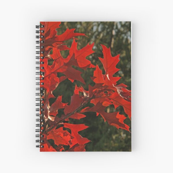 Oak Leaves in Autumn Flame Spiral Notebook