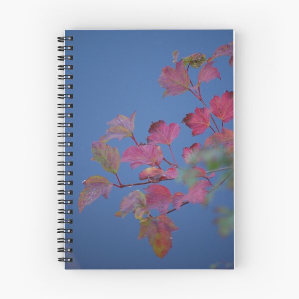 Artikelvorschau, Pink and blue entworfen und verkauft von Maureen Brittain.
