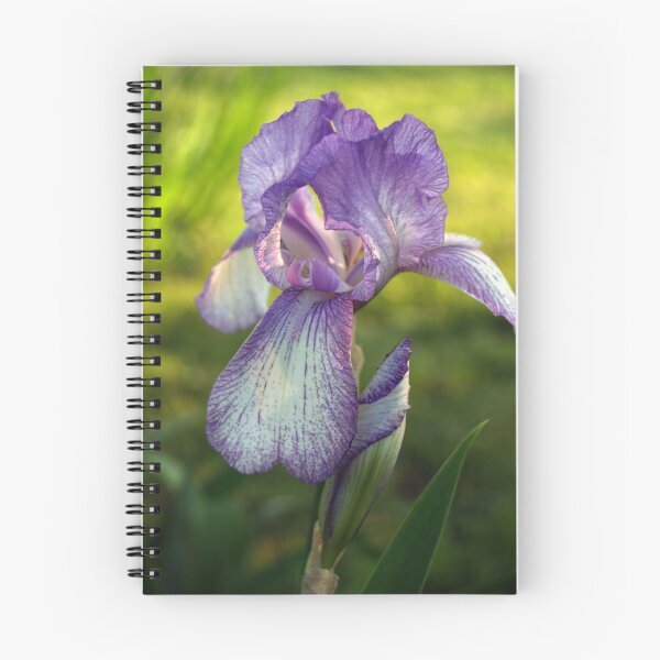 Item preview, Purple Iris, Softly Backlit designed and sold by Anna Lisa Yoder.
