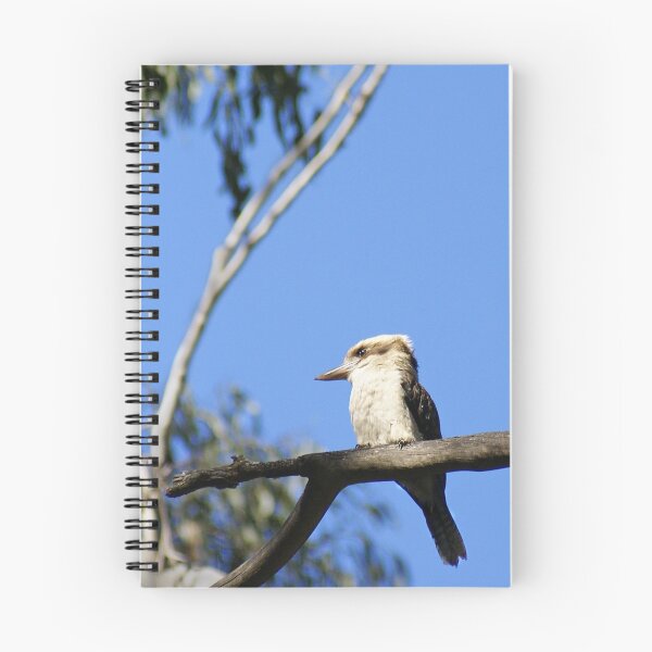 Item preview, Sitting in the old gum tree... designed and sold by Rosie Appleton.