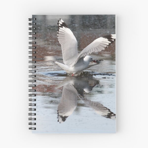 Item preview, Seagull at Frankston designed and sold by margotk.