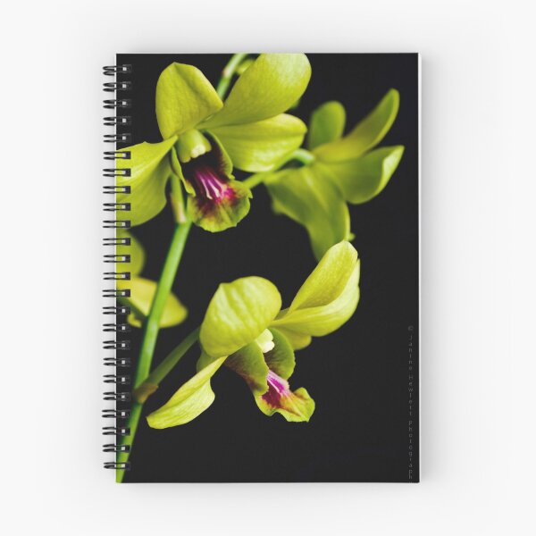 Item preview, Orquídea... designed and sold by Janine  Hewlett.