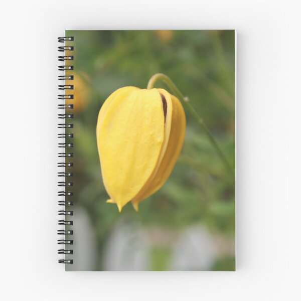 Item preview, Single Flower designed and sold by Tanya Kenworthy-Mosher.