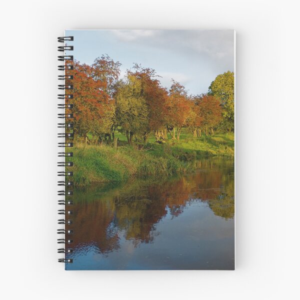 Item preview, Ireland In Autumn II designed and sold by Aishling O'Neill.