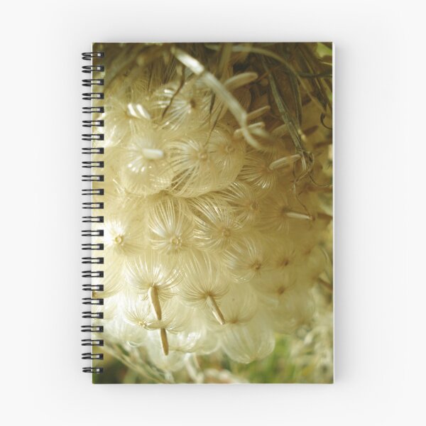 Item preview, A Gathering of Baby Seeds designed and sold by Maureen Kay.