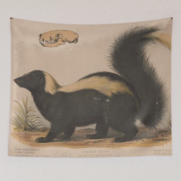 Item preview, Vintage Illustration of a Skunk (1874) designed and sold by BravuraMedia.