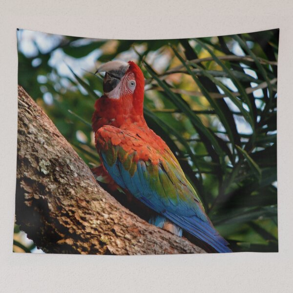 Item preview, Ara red-and-green macaw designed and sold by Schoensl.