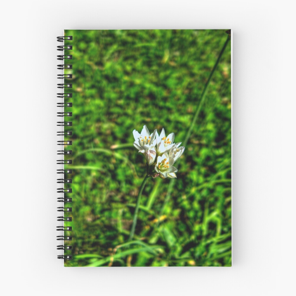 Vista previa del artículo con la obra «Cuaderno de espiral», diseñado y vendido por MIGHTY TEMPLE IMAGES.