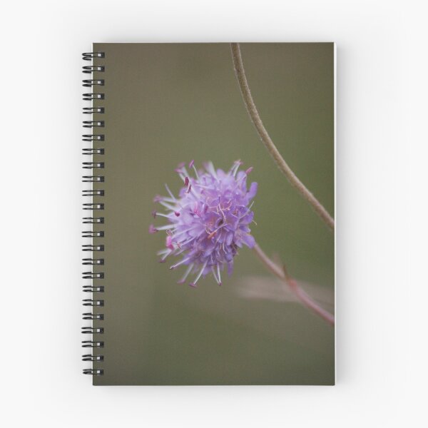 Item preview, Devil's Bit Scabious designed and sold by CharoftheShire.