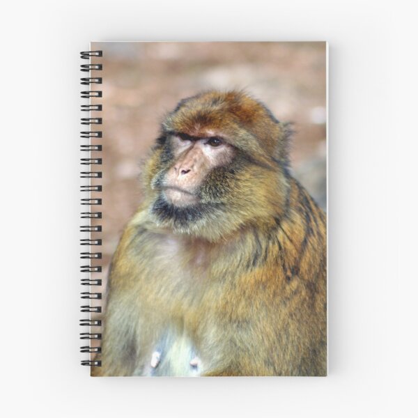 Item preview, Barbary Ape designed and sold by Karen Millard.