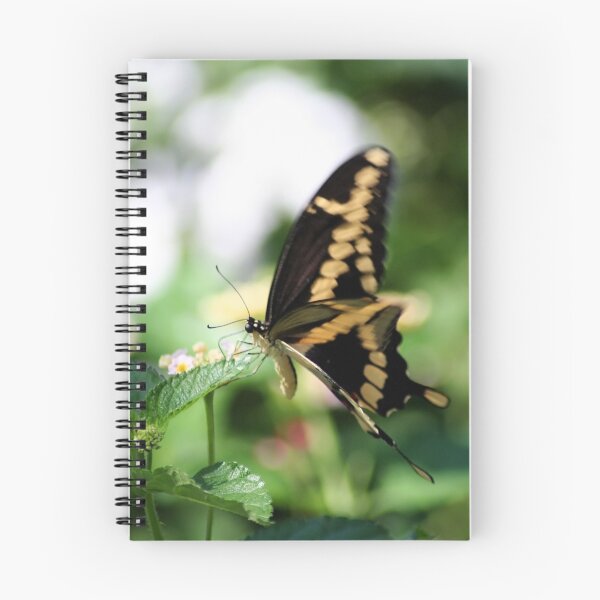 Item preview, FLUTTERING WINGS designed and sold by cdudak.