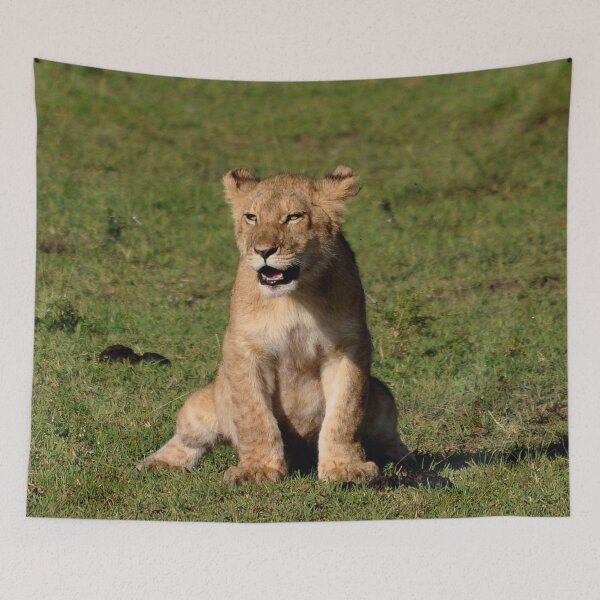 Item preview, Lion baby africa designed and sold by Schoensl.