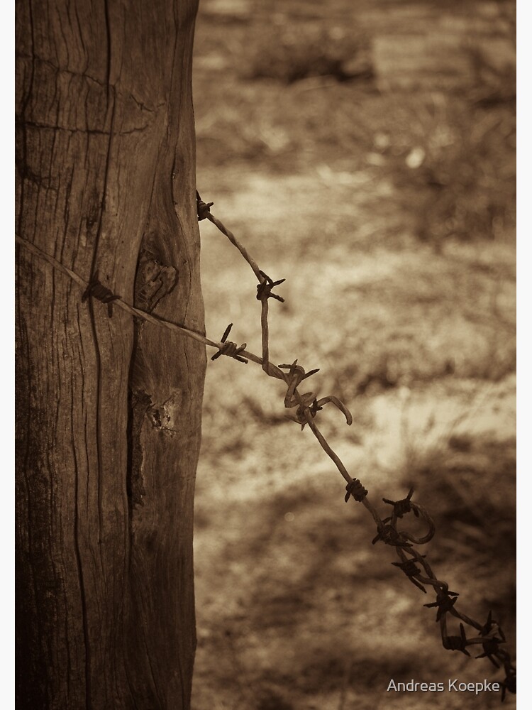 Old barbed wire - sepia by mistered