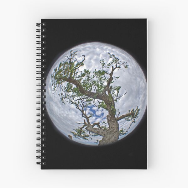 Item preview, The Tree @ Dogrocks  designed and sold by AlMiller.