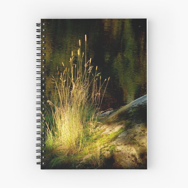 Item preview, Light designed and sold by ilpo laurila.