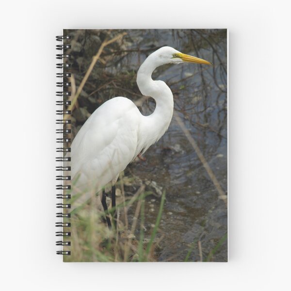 Item preview, Waterfowl at it's finest! designed and sold by kimbarose.