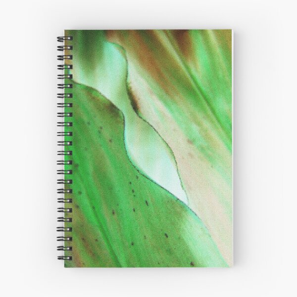 Item preview, Curves  designed and sold by taueva.