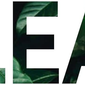 Aperçu de l'œuvre NETTOYER de BeeJayBee