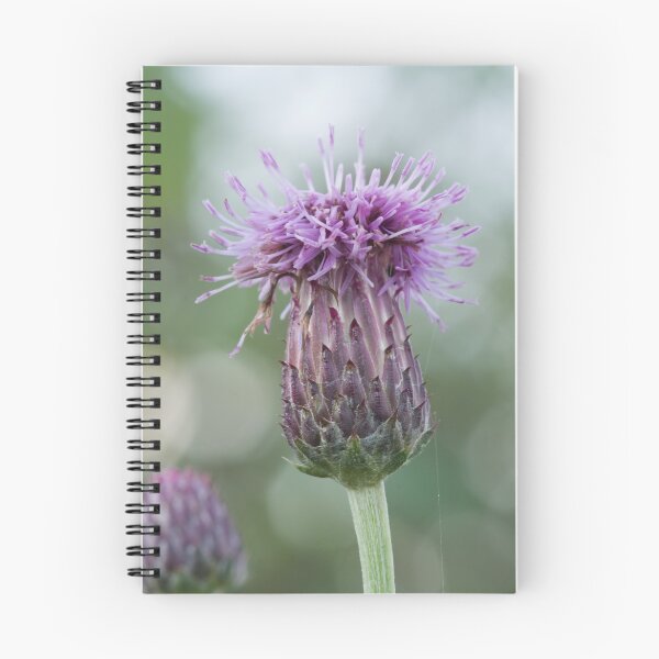 Item preview, Thistle Flower designed and sold by kernuak.