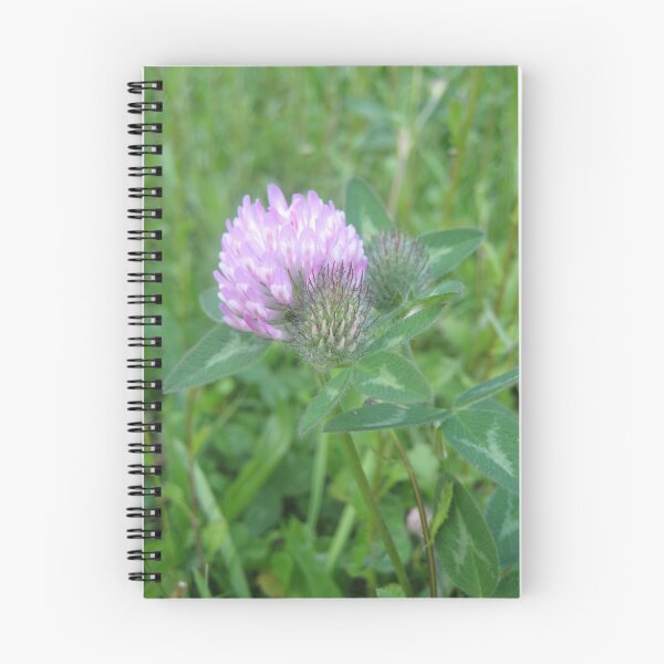 Artikelvorschau, Purple clover entworfen und verkauft von knomz.