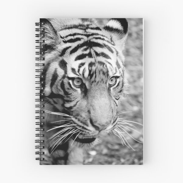 Item preview, Tiger designed and sold by Chris Muscat.