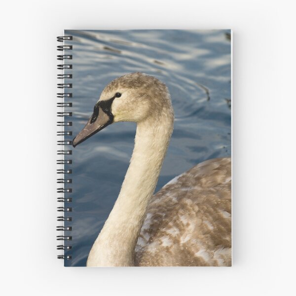 Item preview, Swan designed and sold by Stuart Jenkins.