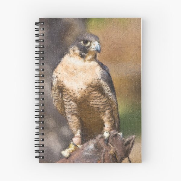 Item preview, Stylized photo of a Perigrine falcon perched on falconer's leather glove. designed and sold by NaturaLight.