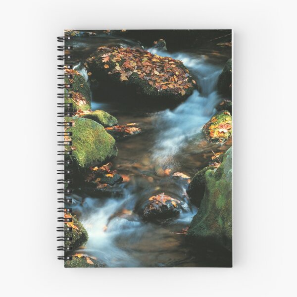 Item preview, STREAM designed and sold by Chuck Wickham.
