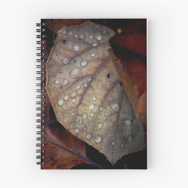 Item preview, Fall Foliage designed and sold by Adrienne Berner.