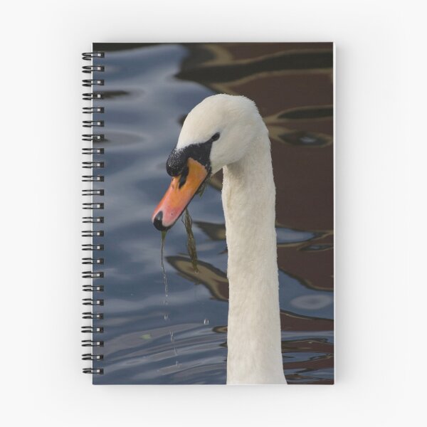 Artikelvorschau, Mute Swan entworfen und verkauft von Stuart Jenkins.
