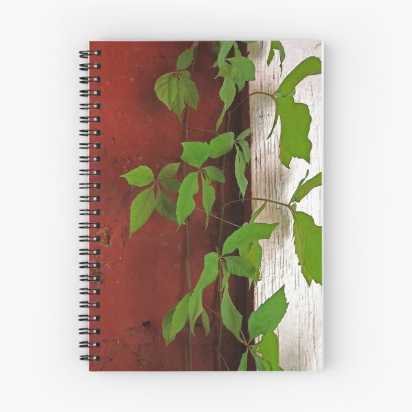 Item preview, Clinging Vine designed and sold by CarolM.