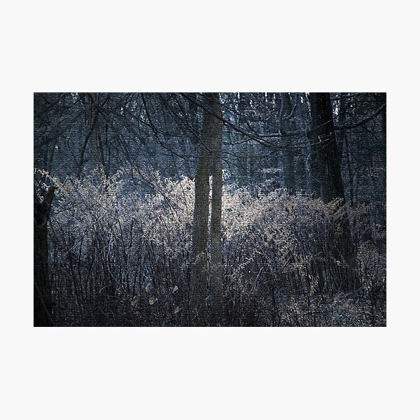 Twilight Fire Photographic Print